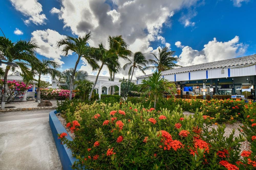 Aruba Blue Village Hotel And Apartments Palm Beach Exterior photo